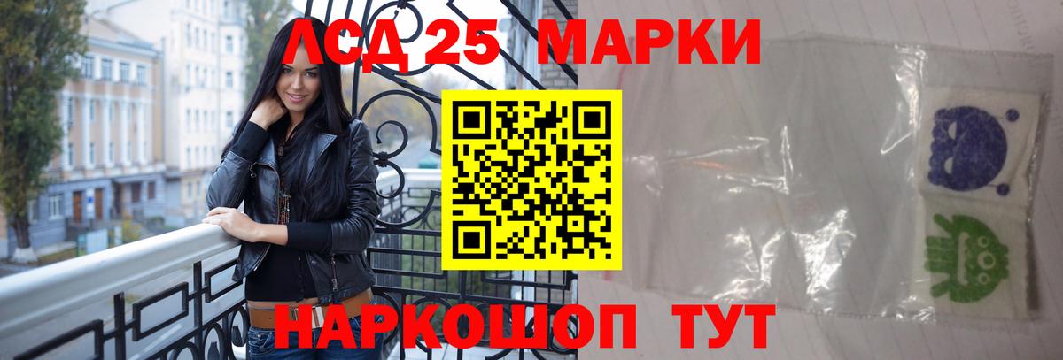 Лсд 25 экстази  Вход с VPN  omg ссылка  ЛСД экстази кислота  Новозыбков 