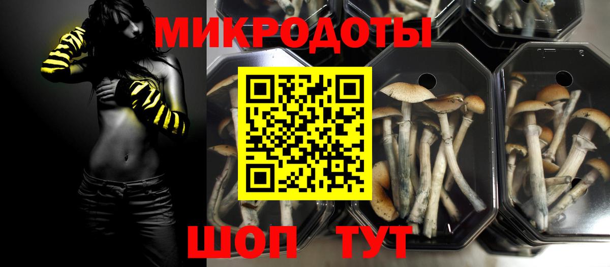 Псилоцибиновые грибы GOLDEN TEACHER Новозыбков